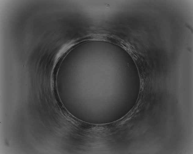 X0000091910294200709191325