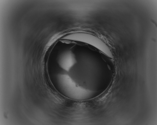 X0000091910295200709191325