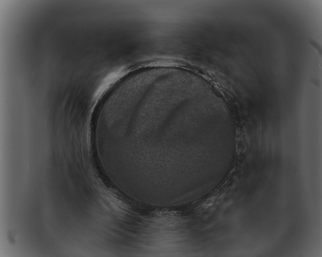 X0000091910296200709191325