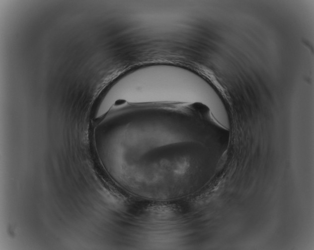 X0000091910299200709191325