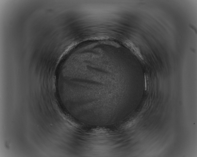 X0000091910300200709191325