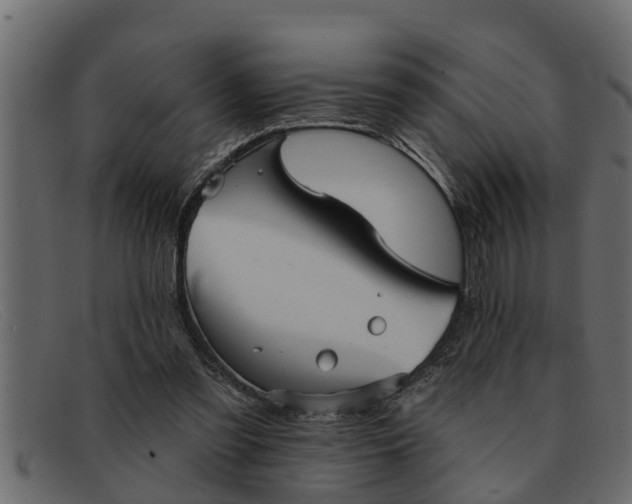 X0000091910301200709191325