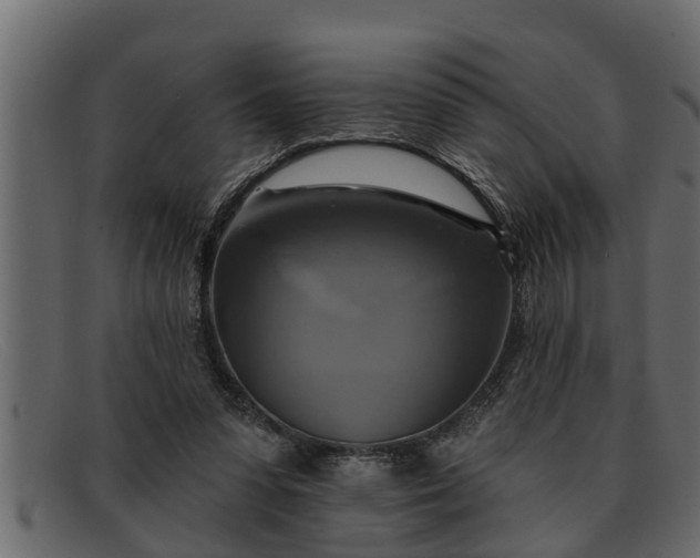 X0000091910303200709191325