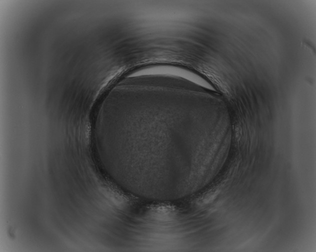 X0000091910304200709191325