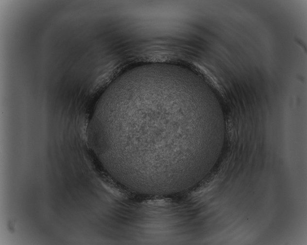 X0000091910307200709191325