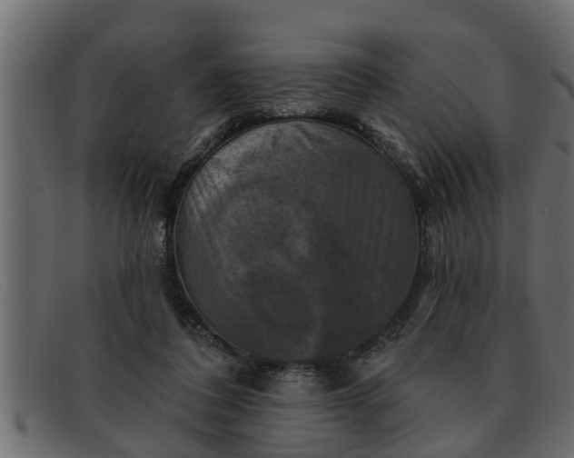 X0000091910308200709191325