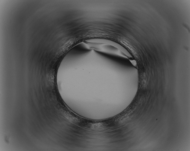 X0000091910309200709191325