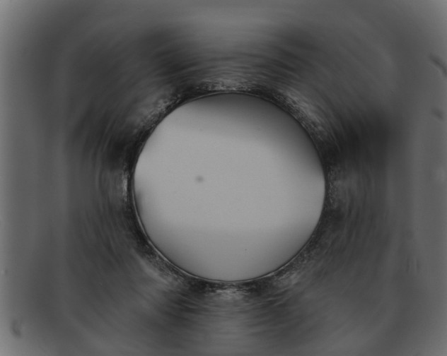 X0000091910310200709191325