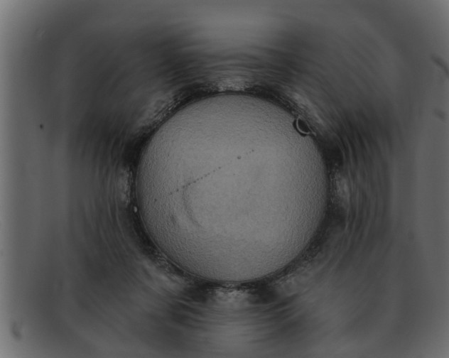 X0000091910311200709191325