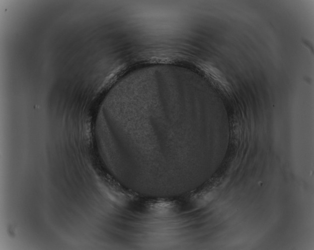 X0000091910312200709191325