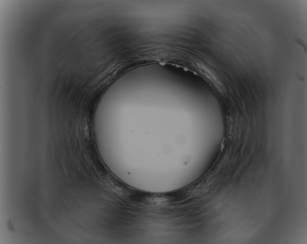 X0000091910313200709191324