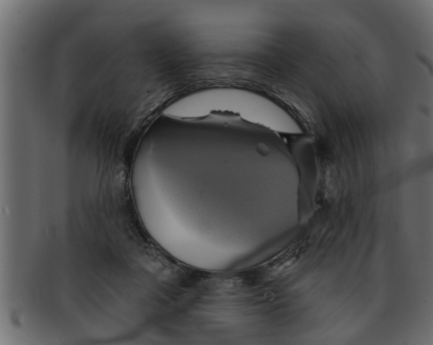 X0000091910314200709191324