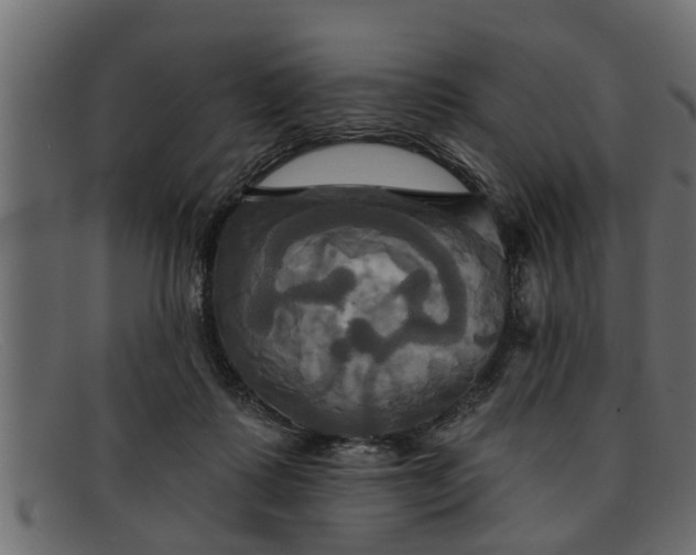 X0000091910315200709191324