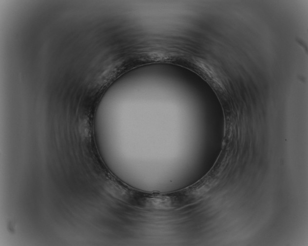 X0000091910317200709191324