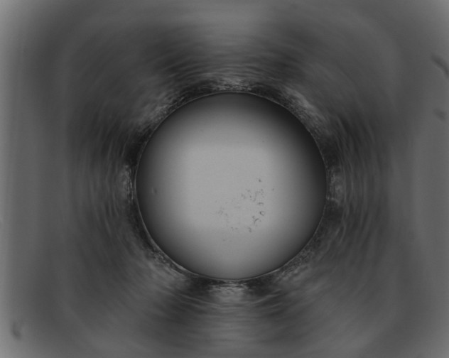 X0000091910318200709191324