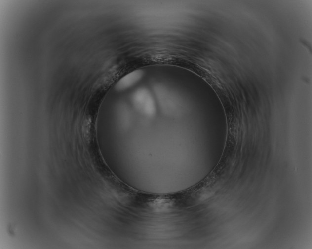 X0000091910319200709191324