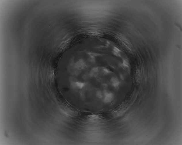 X0000091910320200709191324