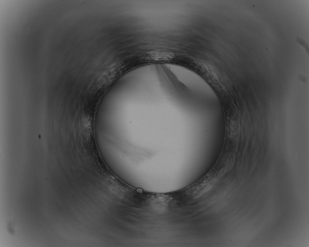 X0000091910321200709191324