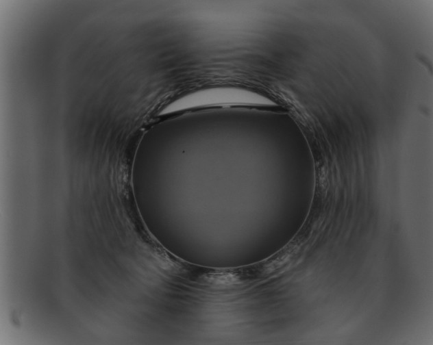 X0000091910322200709191324