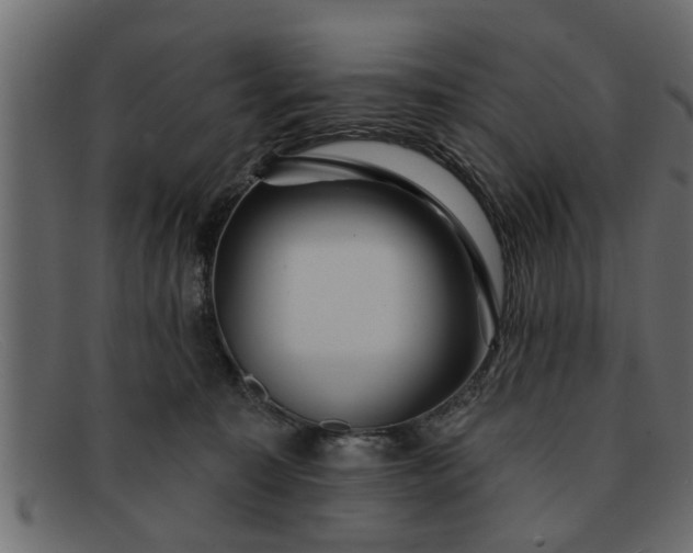 X0000091910323200709191324