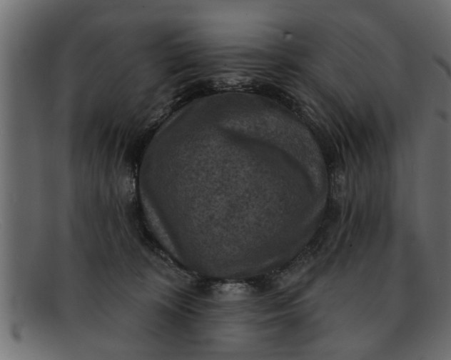 X0000091910324200709191324