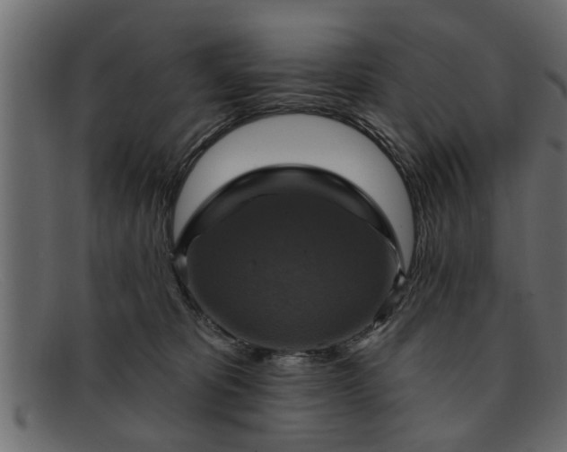 X0000091910325200709191324