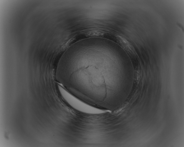 X0000091910326200709191324