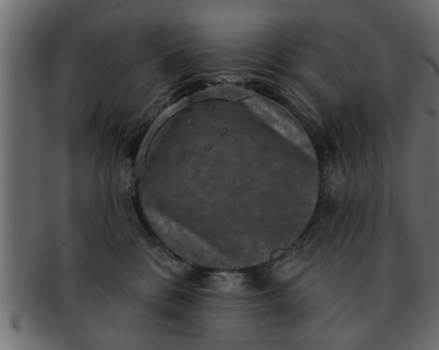 X0000091910328200709191324