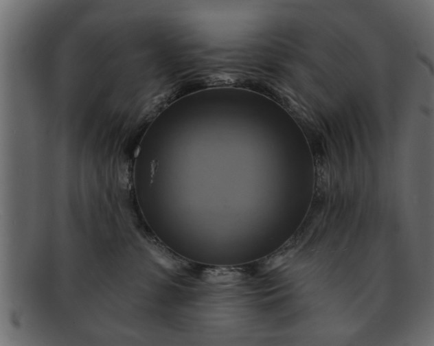 X0000091910331200709191324