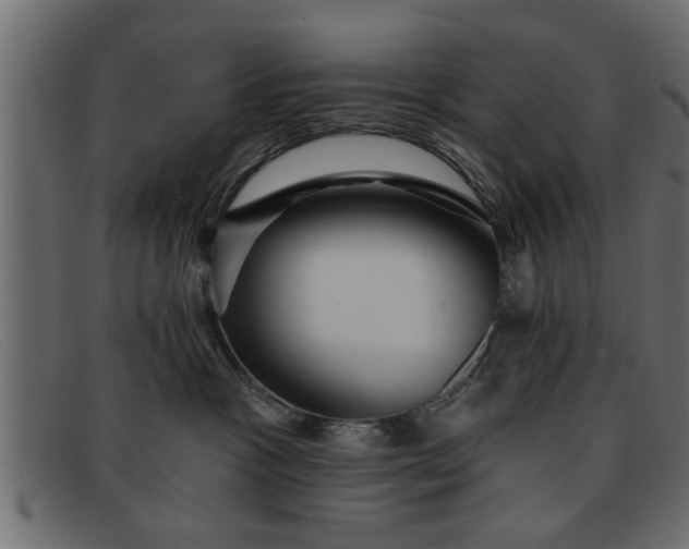 X0000091910333200709191324