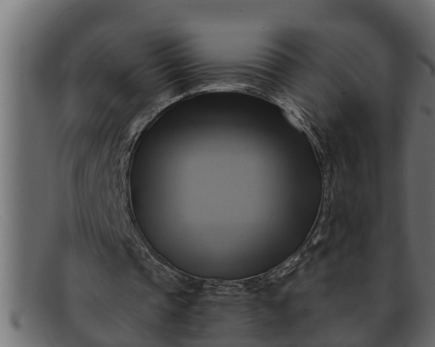 X0000091910337200709191324