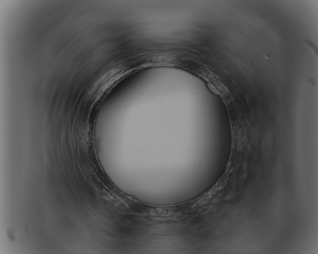 X0000091910338200709191324