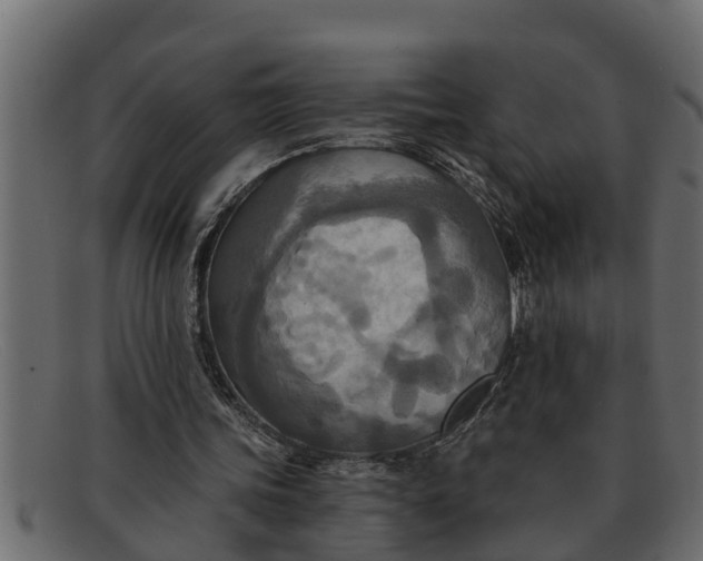 X0000091910339200709191324