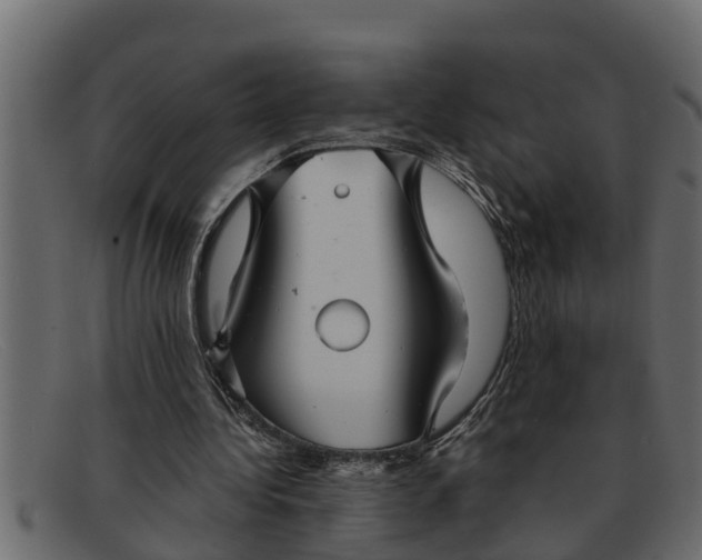 X0000091910340200709191324