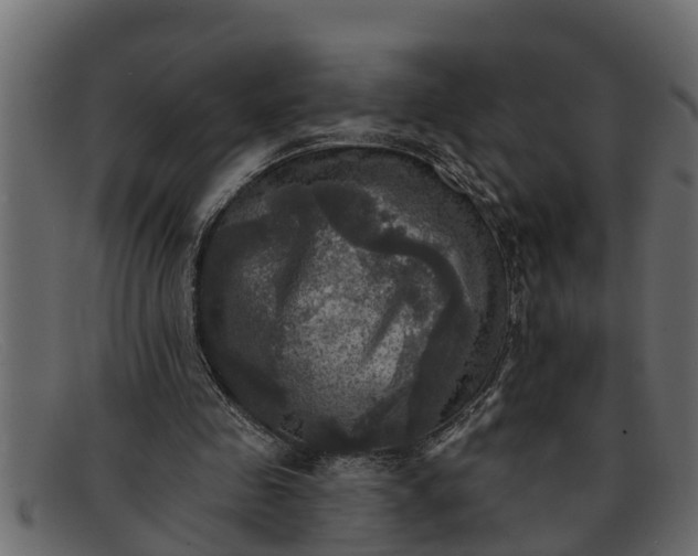 X0000091910341200709191324