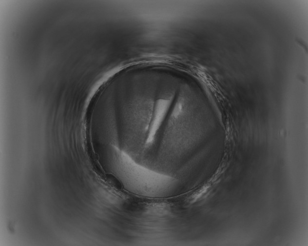 X0000091910342200709191324