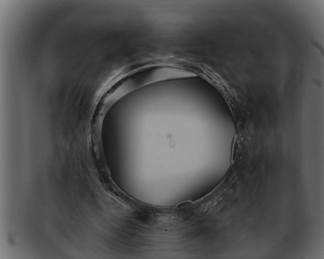 X0000091910344200709191324