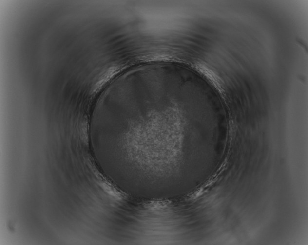 X0000091910345200709191324