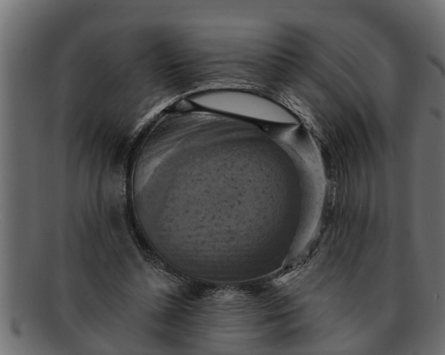 X0000091910348200709191324