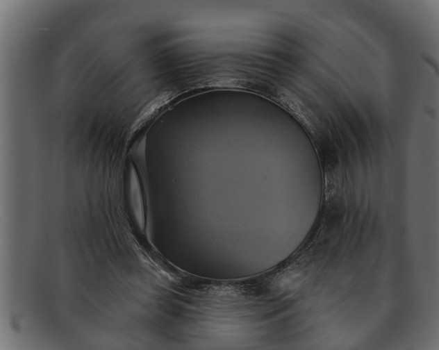 X0000091910349200709191324