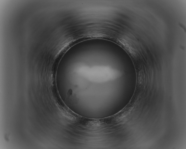 X0000091910351200709191324