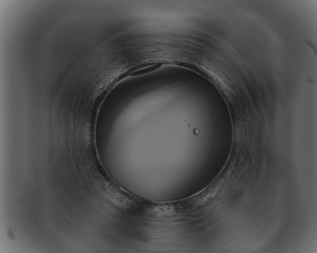 X0000091910353200709191324