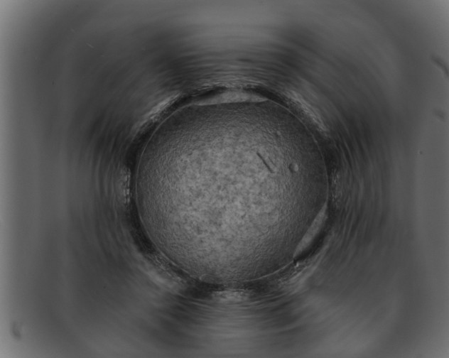 X0000091910356200709191324