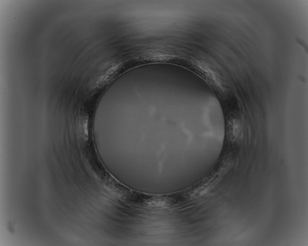 X0000091910358200709191324