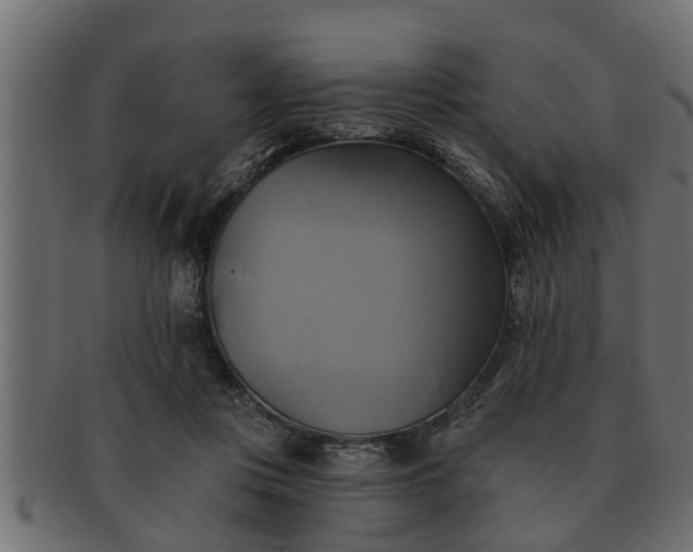 X0000091910359200709191324