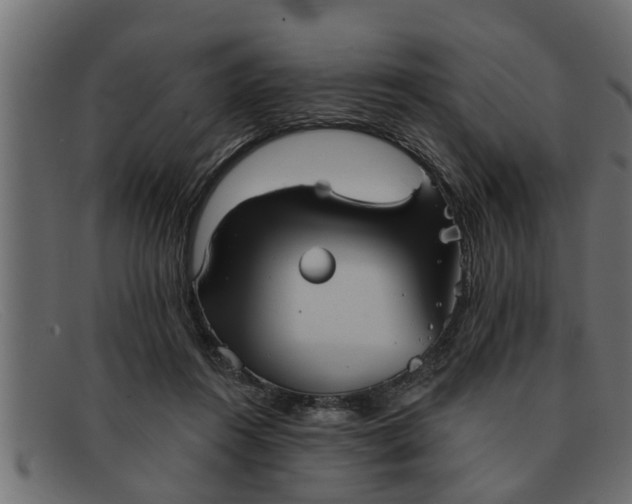 X0000091910360200709191324