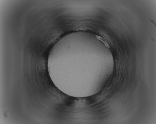 X0000091910362200709191324