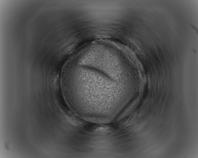 X0000091910364200709191324