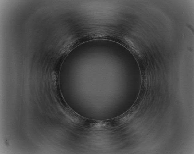 X0000091910366200709191324