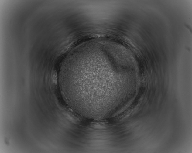 X0000091910368200709191324